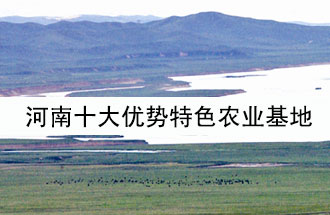 8月19日，河南省政府發(fā)布了關(guān)于深入推進(jìn)農業(yè)供給側結構性改革 大力發(fā)展優(yōu)勢特色農業(yè)的意見(jiàn)