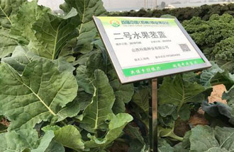 10月23日，中國（鄭州）種業(yè)博覽會(huì )將在河南省鄭州市中牟縣官渡鎮鄉謠農場(chǎng)舉辦